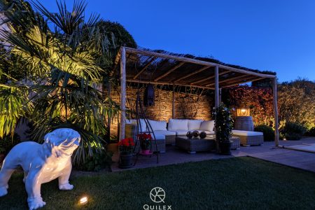 PXL_20210525_193839100.NIGHT